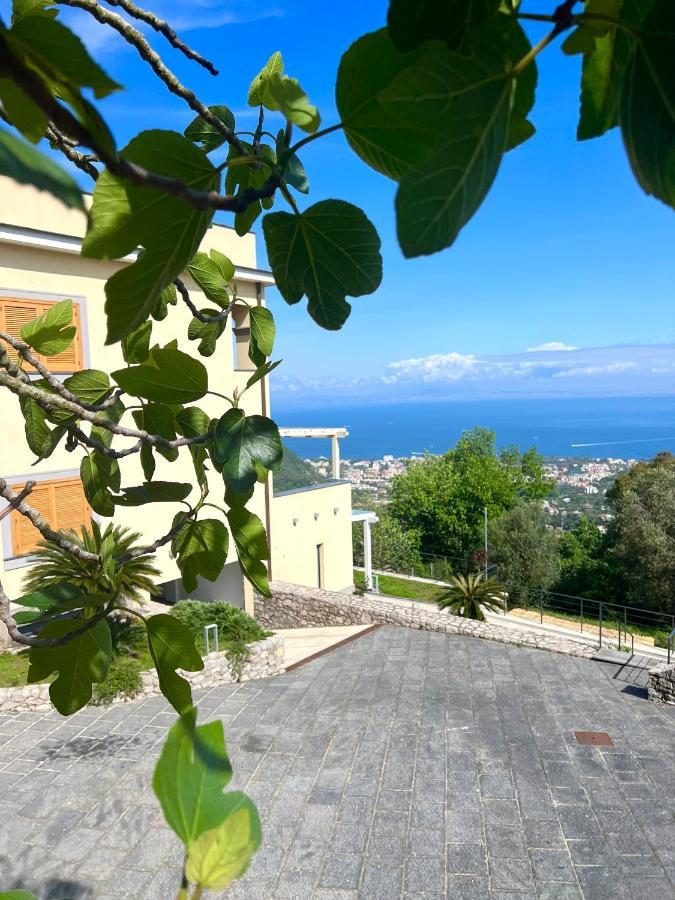 圣安吉洛Fountain House Sorrento公寓 外观 照片